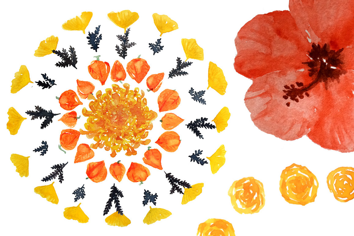 Watercolor Floral Mandalas - DIY Set, an Illustration by amyxbao (Photo 2 of 6)