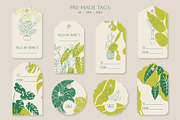 Home Plants | House Plants in Pots, a Decorative Illustration by Berentine.art (Thumbnail 15 of 16)