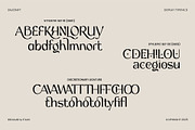 Salicraft, a Serif Font by Gatype (Thumbnail 4 of 10)