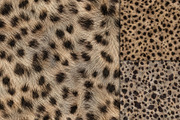 Realistic Leopard Fur Texture, a Pattern Graphic by Artonix (Thumbnail 3 of 3)