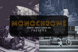 50 Monochrome Lr Dng Acr Presets