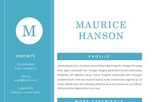 Simple Elegant 3 In 1 Word Resume