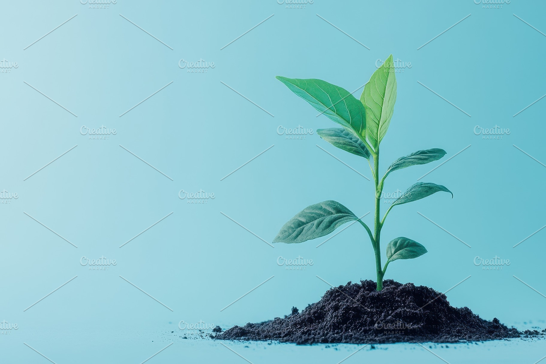 Young green plant emerges from rich, a Photo by Iftikhar Alam