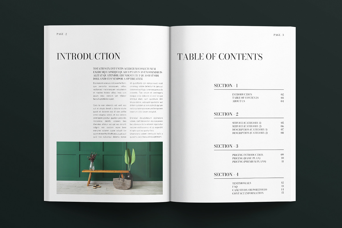 Services & Pricing Guide Magazine, a Magazine Template by E-Type (Photo 2 of 7)