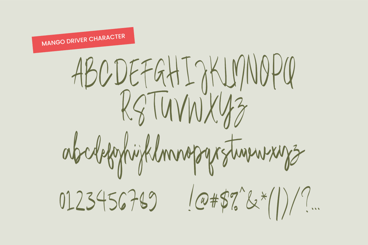 Mango Driver - Signature Brush, a Handwritten Font by tebaltipislab (Photo 2 of 10)