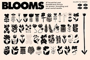 Botanical Vases Illustration Set, a Decorative Illustration by dicreate (Thumbnail 3 of 18)