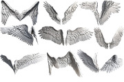 set of photorealistic angel wings, an Object Graphic by itakdalee (Thumbnail 1 of 11)