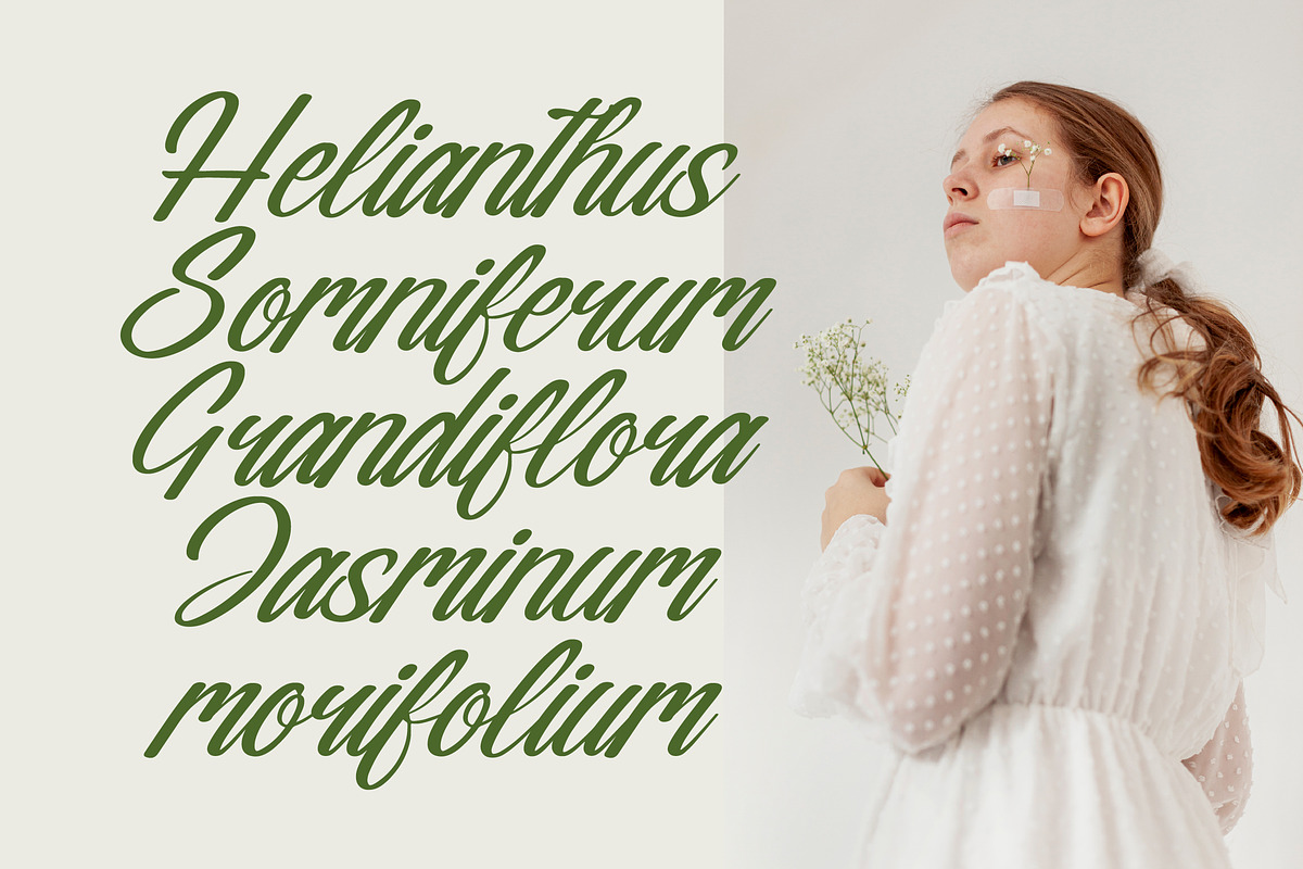 Nostalgic Pictures Calligraphy Font, a Script Font by Letterena Studios Script (Photo 11 of 15)