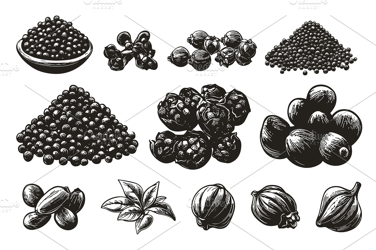 Peppercorn Heap Mill Dried Seed, a Food Illustration by LadadikArt