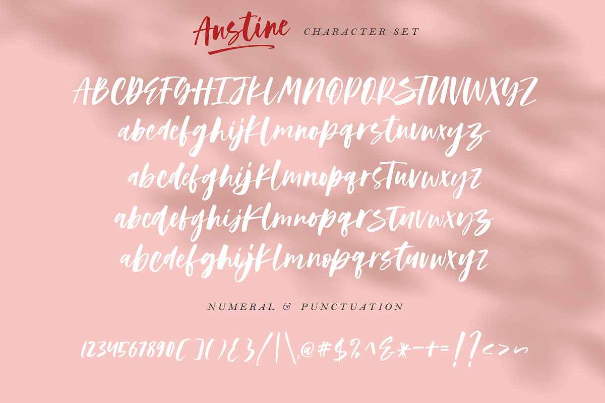 Austine - A Modern Script Font preview 5