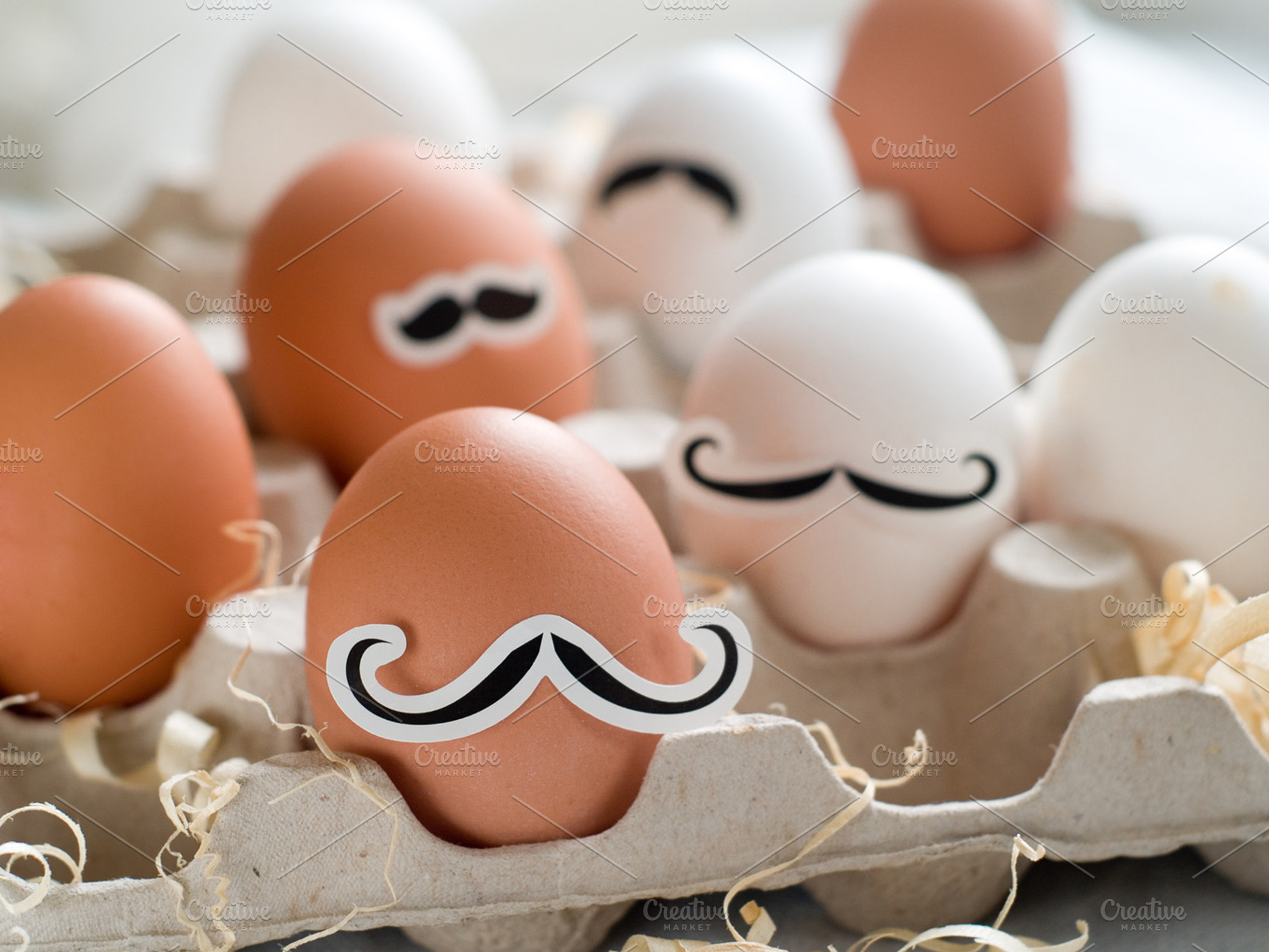 Hipster Egg Stock Picture