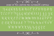 Cantoni Pro Hand Lettered Font, a Script Font by Debi Sementelli (Thumbnail 2 of 5)