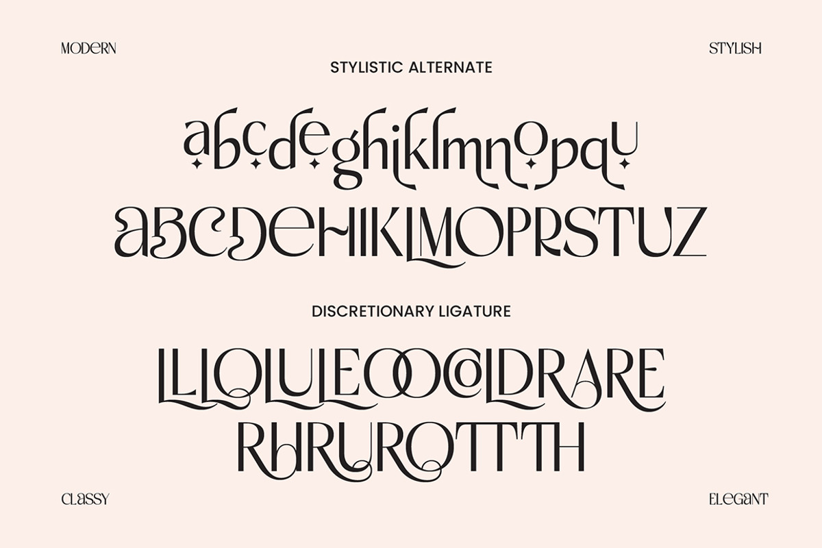 Delorian - Luxury Modern Classy, a Sans Serif Font by tebaltipislab (Photo 4 of 8)