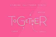 The Lollapalooza Font Trio, a Font by Salt & Pepper Designs (Thumbnail 2 of 7)