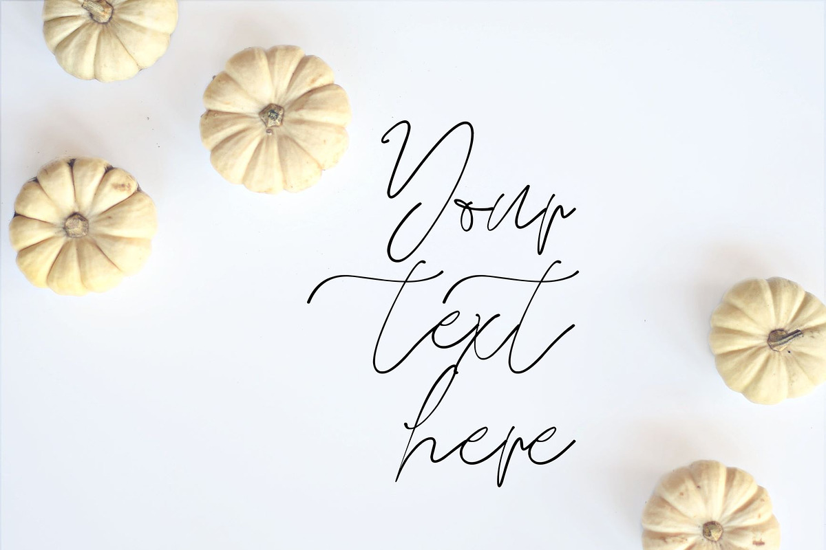 Fall pumpkin flat lay photo stock photo containing fall flat lay and fall, a Holiday Photo by SLS Design Co. (Photo 1 of 2)