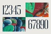 Broswick Bold Tall Display Serif, a Serif Font by timelesstype.co (Thumbnail 6 of 20)
