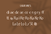 Luxury Élégance - Sans Serif Font, a Sans Serif Font by Brown Cupple (Thumbnail 8 of 8)