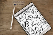 Cursive Letters Procreate Stamps 025, a Brushes & More by Drawberx (Thumbnail 4 of 9)