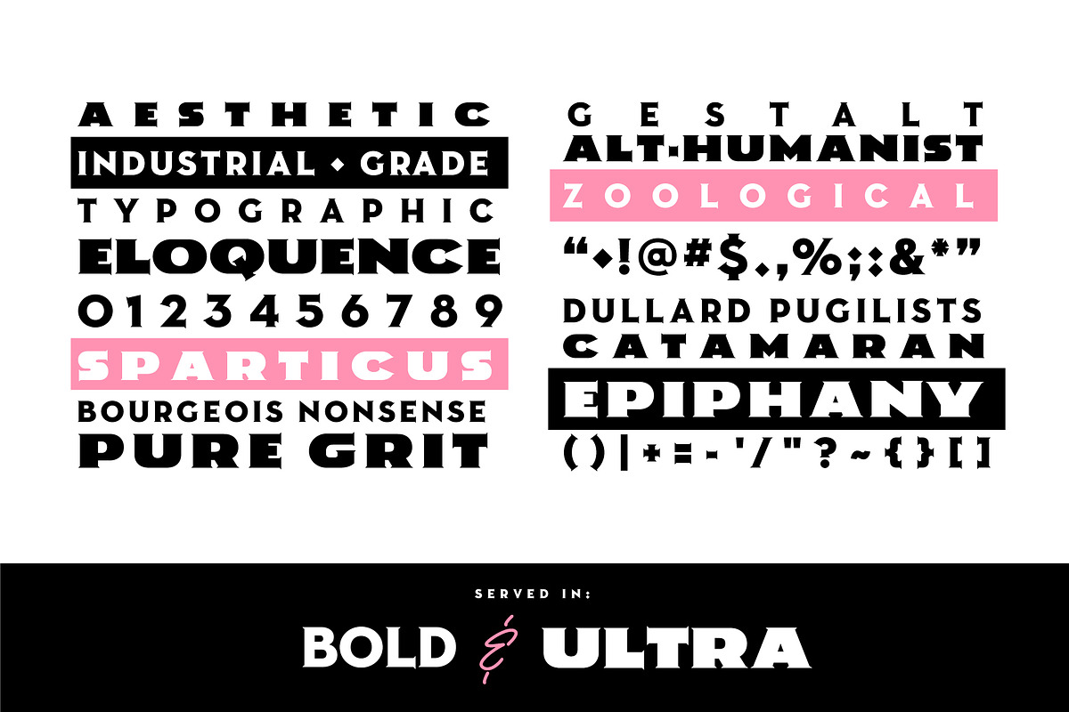 Amscray, a Serif Font by Loudoun Design Co. (Photo 6 of 7)
