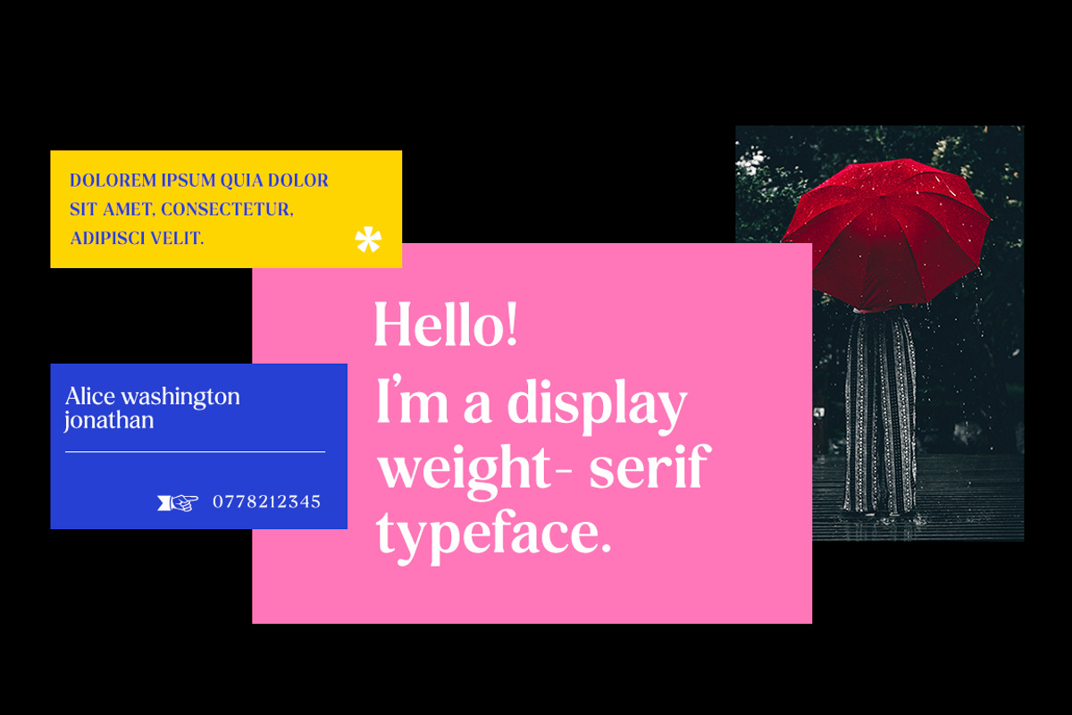 Delvona Serif Family, a Serif Font by Mulkan Nazir (Photo 14 of 15)