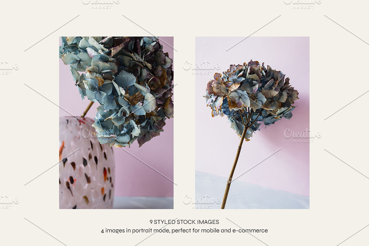 Hydrangea Love | Styled Photo Bundle, a Nature Photo by The Responsible Creatives (Photo 2 of 6)