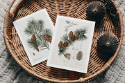 Green Christmas mockup bundle, a Stationery Template by Tabita's shop (Thumbnail 9 of 10)