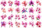 Watercolor Pink Orchid Clipart, an Illustration by Black Bird Studio (Thumbnail 2 of 5)