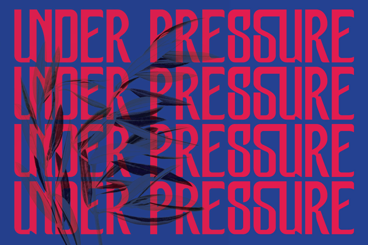 Beflowe Condensed Display, a Sans Serif Font by executypeStudio (Photo 9 of 11)