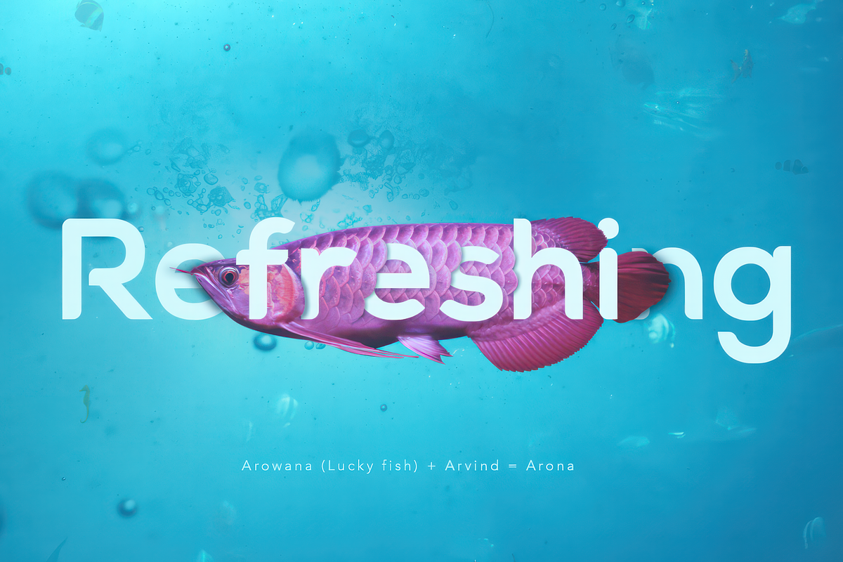 ARONA FONT FAMILY - 24 fonts, a Sans Serif Font by Peninsula Studioz (Photo 4 of 9)