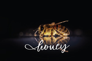 Honey Font