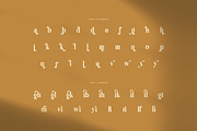 Camila Elegant Serif Font, a Serif Font by Graphicxell (Thumbnail 8 of 8)
