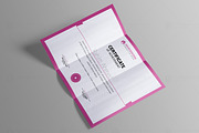 Certificate Template, a Stationery Template by thedesignsource (Thumbnail 5 of 8)