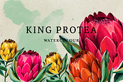 Watercolor King Protea, a Decorative Illustration by Karliefie (Thumbnail 1 of 5)