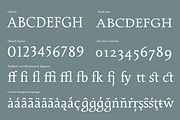 Portoluce, a Serif Font by Eurotypo (Thumbnail 4 of 6)
