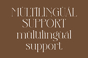 Northen Glitch, a Serif Font by Muflieart (Thumbnail 9 of 10)