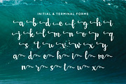 San Luis Script Font, a Script Font by Design Panoply (Thumbnail 8 of 11)