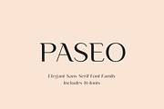Paseo, a Sans Serif Font by Larin Type Co. (Thumbnail 1 of 15)