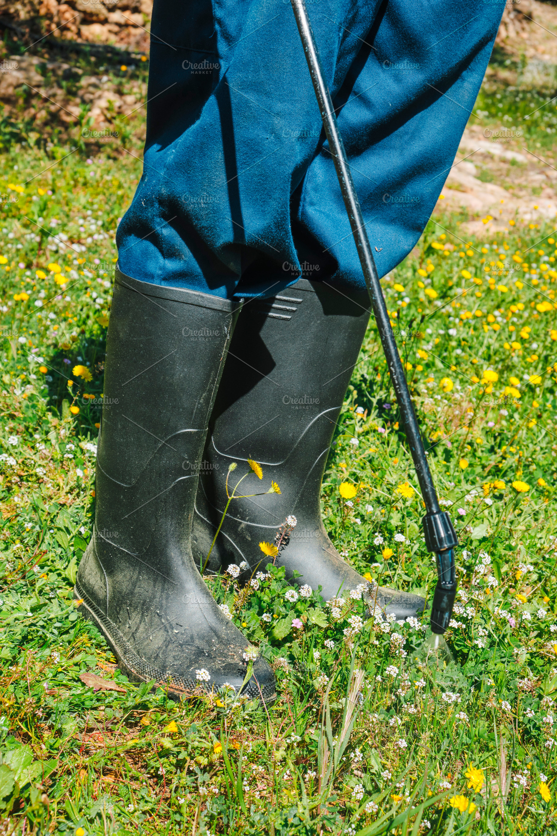 a man applies herbicide at ground level, a Photo by Nito
