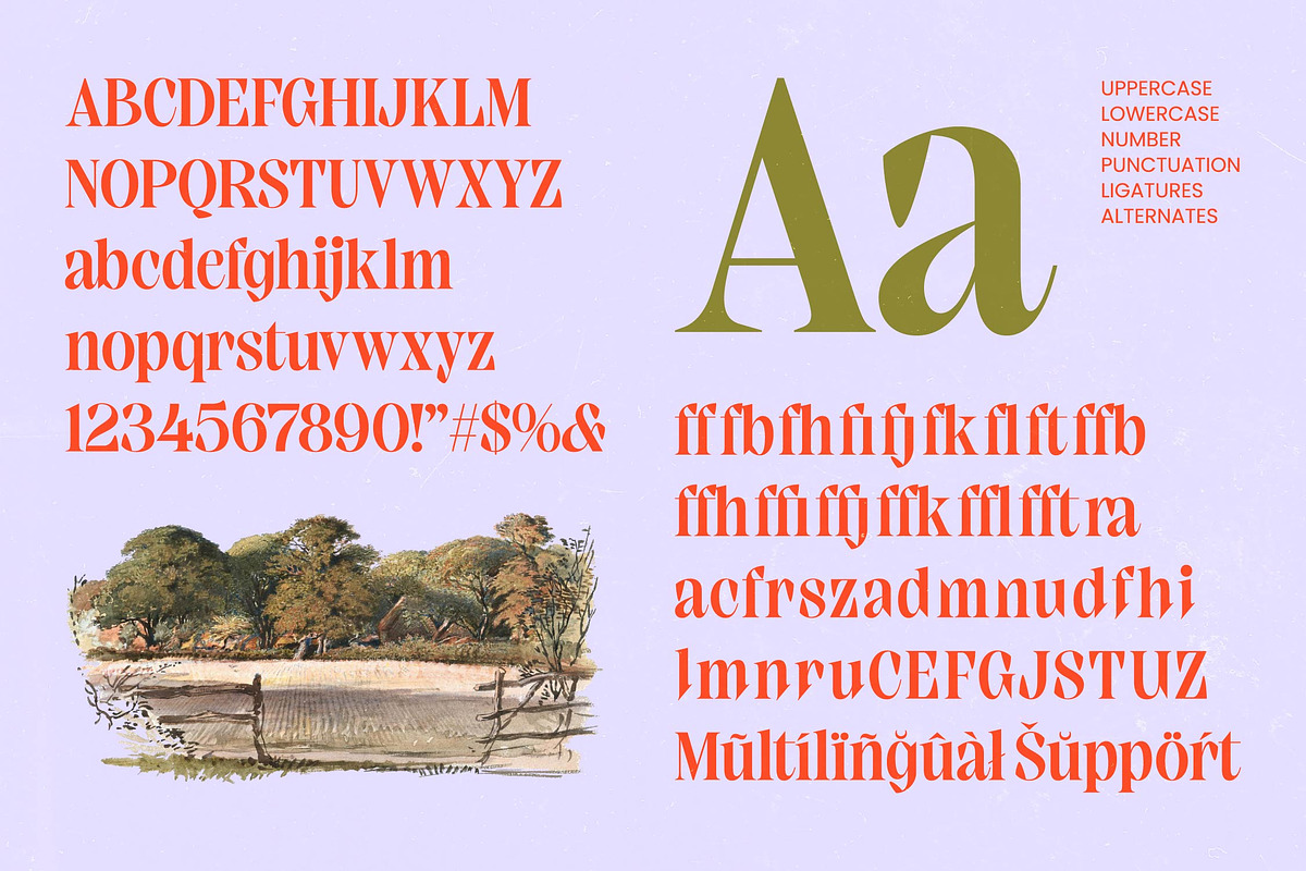 Elinkos Bold Tall Serif, a Serif Font by timelesstype.co (Photo 6 of 10)