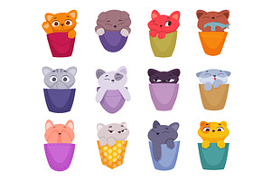 Kittens. Pockets of clothes with, an Animal Illustration by Onyx