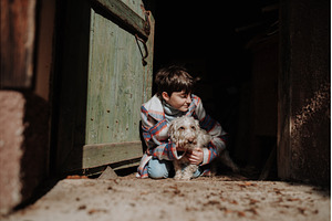 Girl playing with dog outdoors in, a Person Photo by HalfPoint