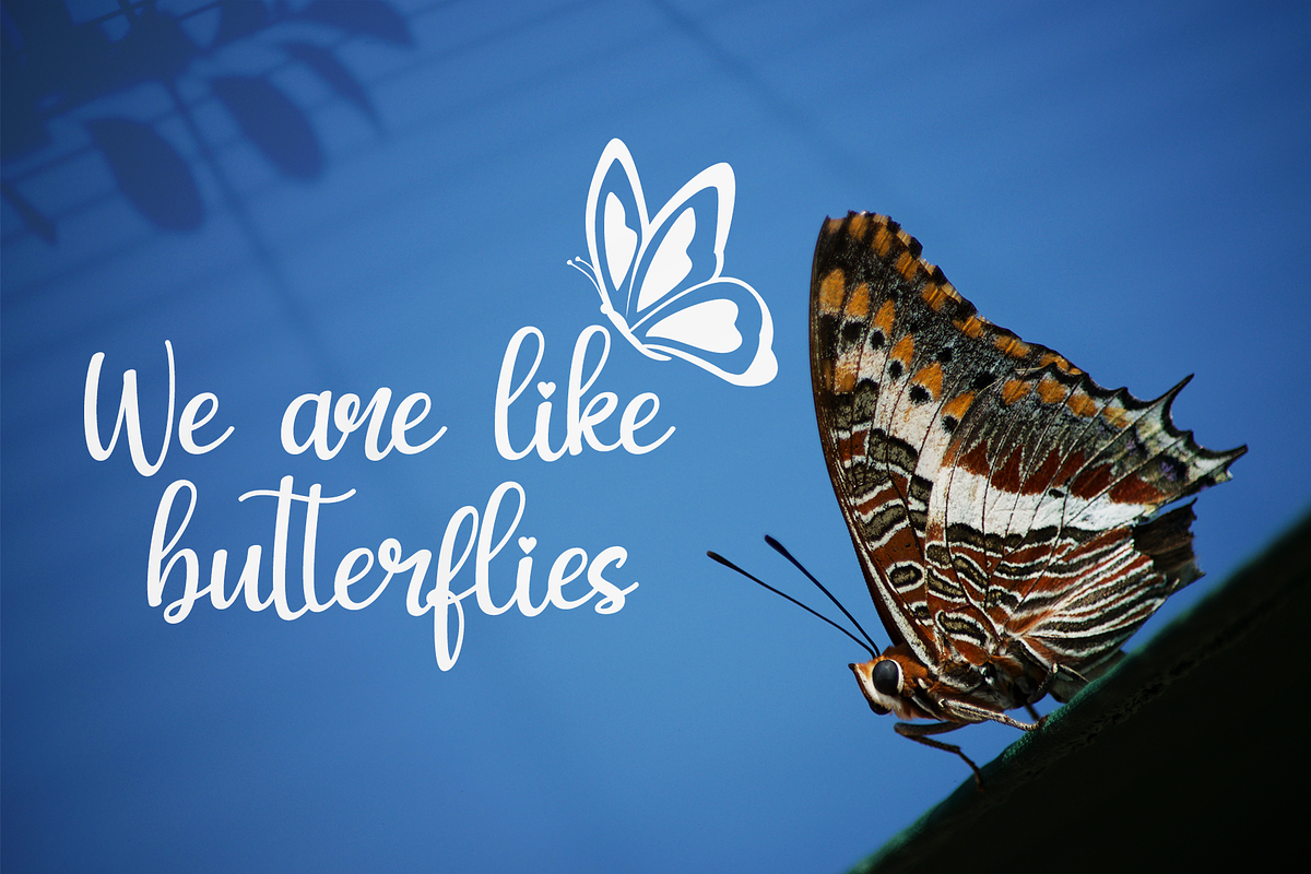 My Butterfly - Modern Calligraphy preview 4
