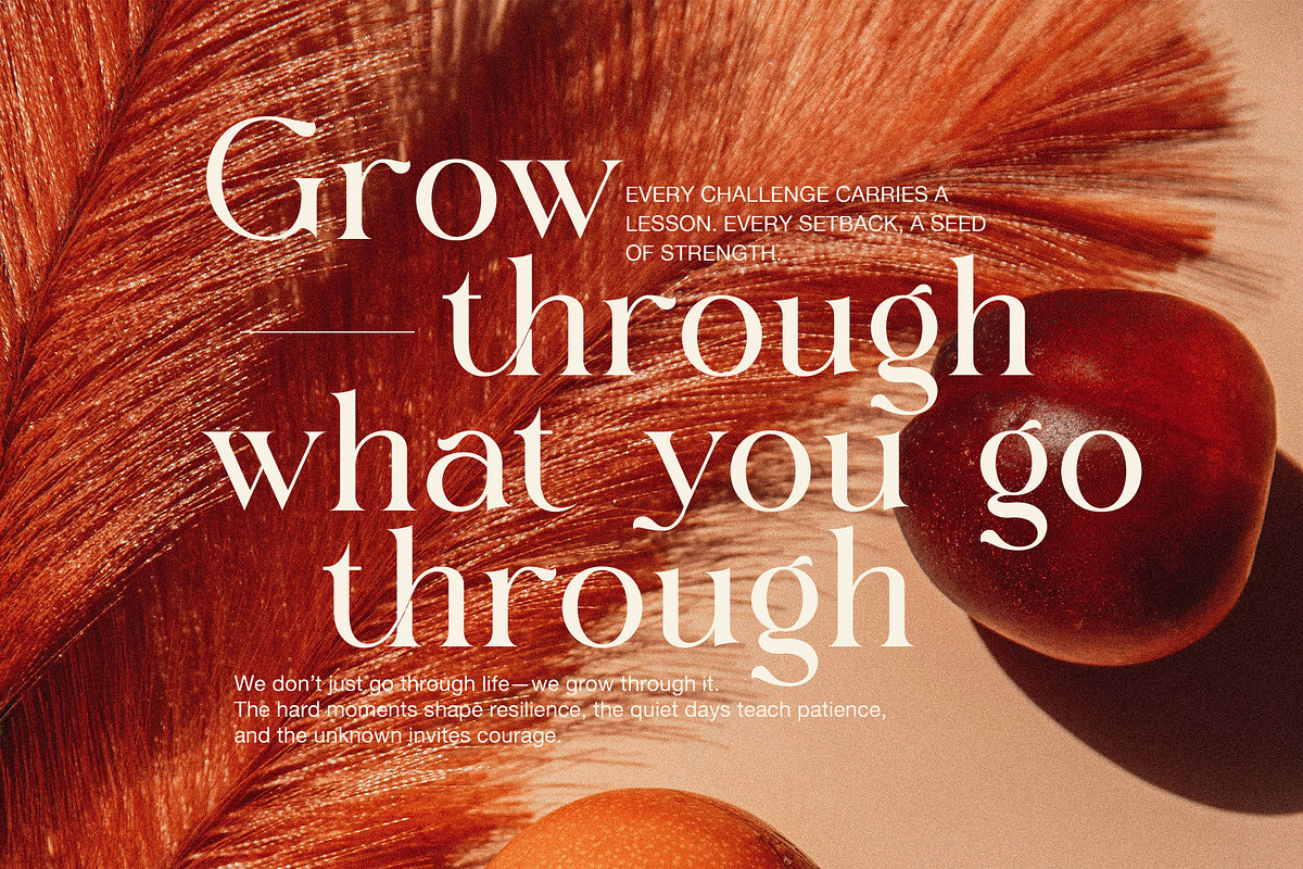 Signer Elegant Serif Font, a Serif Font by Elegant Font (Photo 6 of 8)