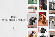Pinterest Posts Bundle, a Social Media Template by Social Corner Graphics (Thumbnail 20 of 37)