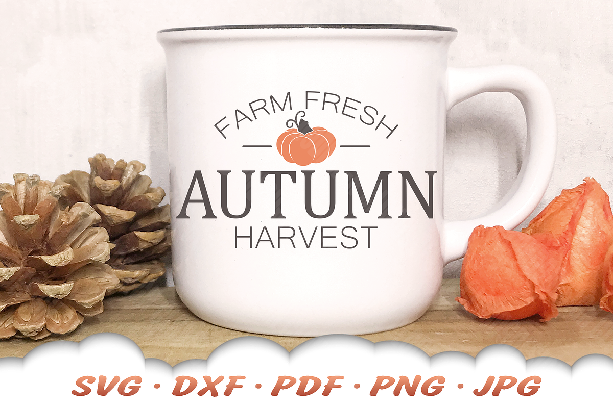 Pumpkin SVG | Autumn Harvest SVG, a Graphic by Cloud9DesignSVG (Photo 4 of 4)