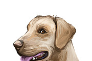 Dogs Cross Breeds 56 Animals Bundle, an Animal Illustration by Dneprstock (Thumbnail 18 of 55)