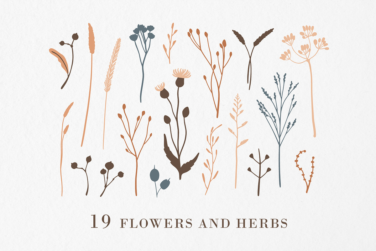 FOREST TREASURES big vector bundle, a Decorative Illustration by Lena Nikolaeva (Photo 2 of 16)