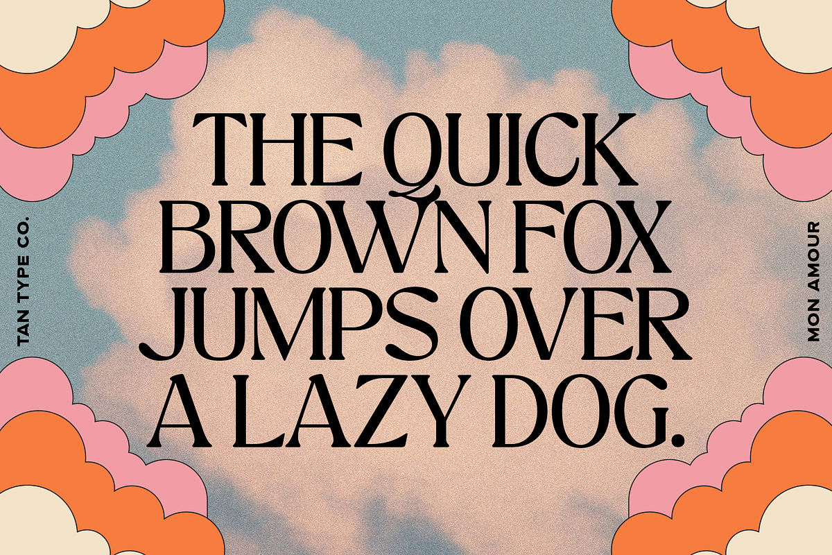 TAN - MON AMOUR, a Font by TanType (Photo 7 of 11)