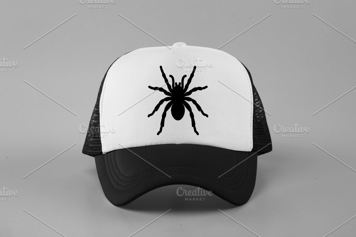 Tarantula Silhouette SVG, an Animal Illustration by newminddesign (Photo 3 of 10)