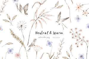 Neutral&Warm watercolor png